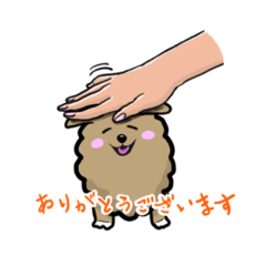 Hands and Pomeranian Moko. 2