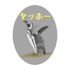 Kamiariduki_20220213211947