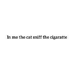 in me the cat sniff the cigaratte