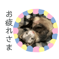 risa_20220213225730