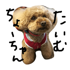 arisa_20220213235309