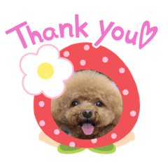 natsumi_20220213160222