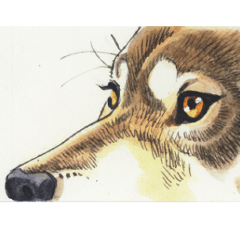 Beautiful animal life