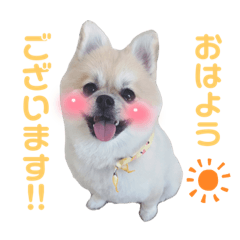 KAORI_20220213163624