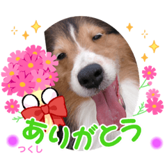 akiko_20220213164953