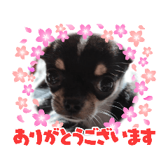 HANA_20220213215624
