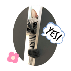 SHIHO_20220214111732