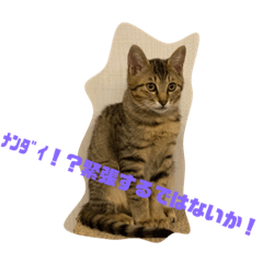 emily_20220214113739