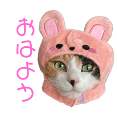 YUKARI_20220213201609