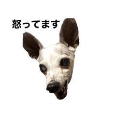 NATSUMI_20220214133931