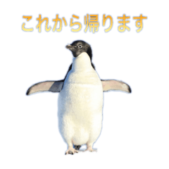 Ak_20220213160656