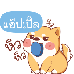 APPLE3 Shiba naughty dog