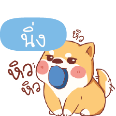 NING3 Shiba naughty dog