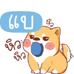 BA5 Shiba naughty dog