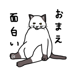 Cat somewhat speaking – LINE stickers | LINE STORE