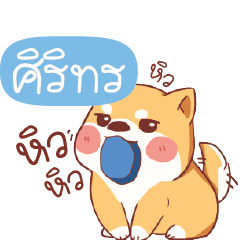 SIRITORN2 Shiba naughty dog