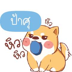PASU3 Shiba naughty dog
