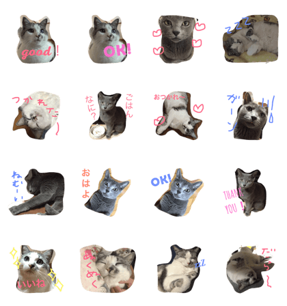 fuku&nyan