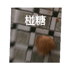 哈哈 瘋狂的好朋友