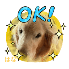 akiko_20220214153428