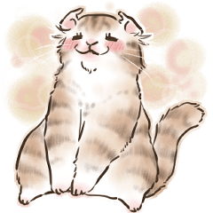Cat American Curl Sticker