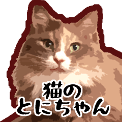 ToniCat