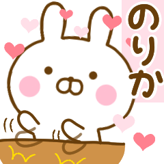 Rabbit Usahina love norika