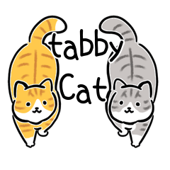 Tabby cat and tabby cat!