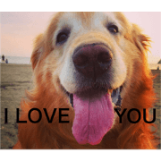 mydoglove1