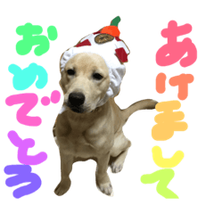 LOVE PAINCHAN