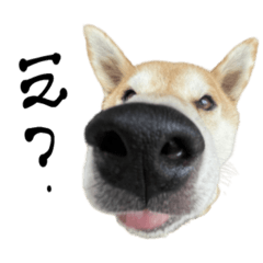 nozomi_20220214202938