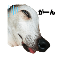 NATSUMI_20220214212207