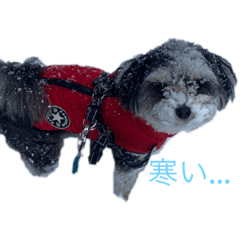 Risa_20220214212933