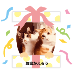 sakurako_20220214223919