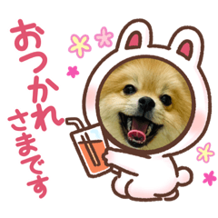 kuu_20220214233423