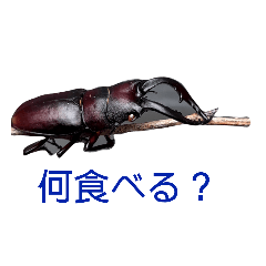 ペットの生き物のスタンプ[完全]