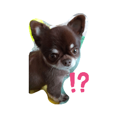 &teruco._20220214151654