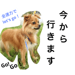 KOTA&OJI..
