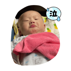 小鳳梨@@