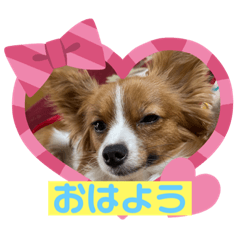 senakun0443_20220215110657