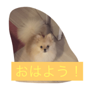 ponponta!!