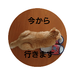 akiko_20220214225237