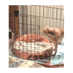 yuka_20220214202552