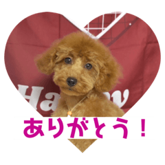 akiko_20220214213900