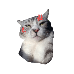 Chao Yang._20220214145802