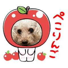 ChieMae