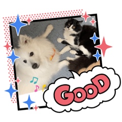 junko_20220215112251