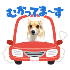 cherry_20220215115031