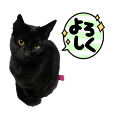 chie_20220214152347