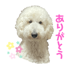 arisa_20220215142906